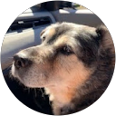 Bruce Zeller profile picture