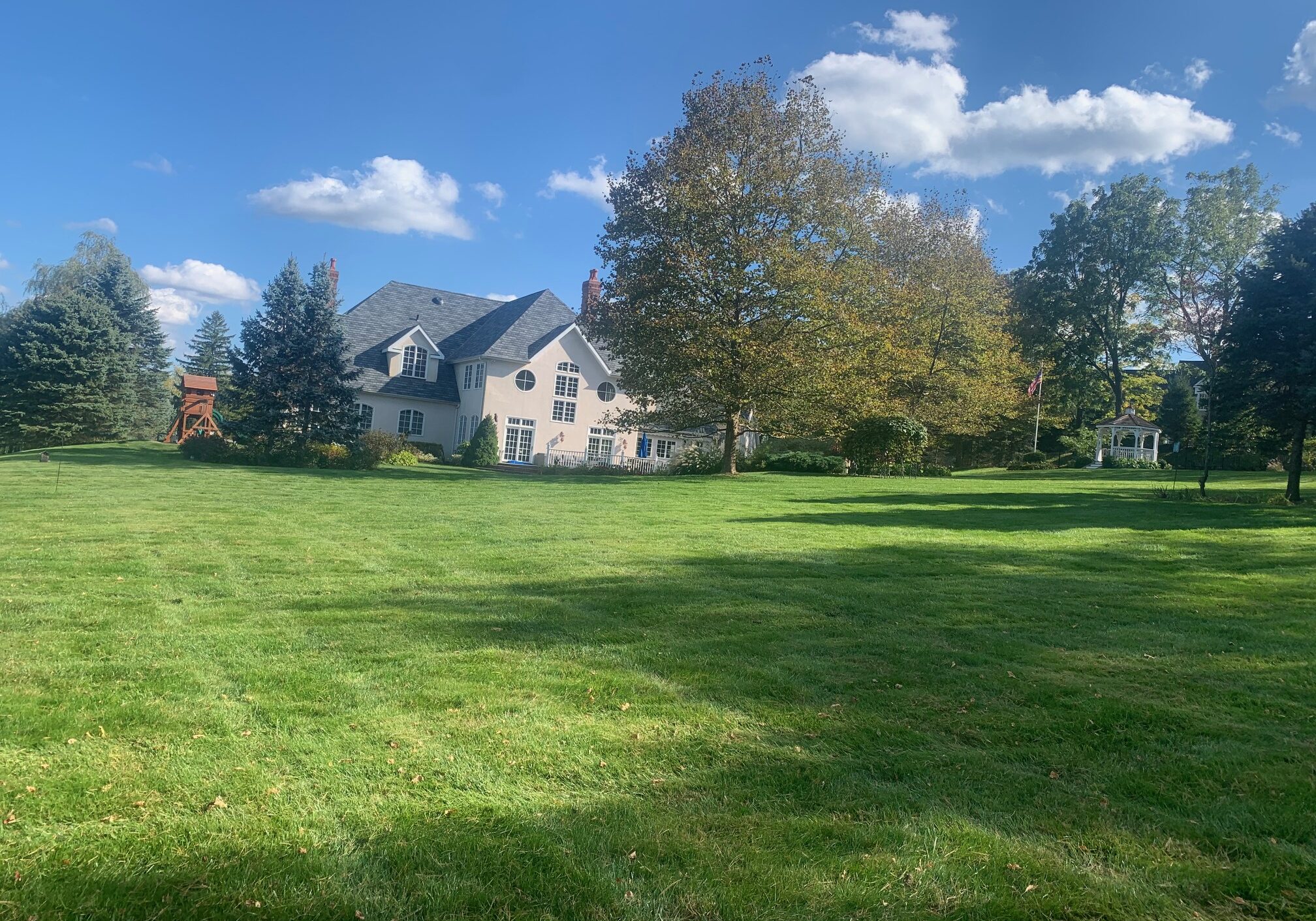 Conventional lawn 3 Conventional lawn 3