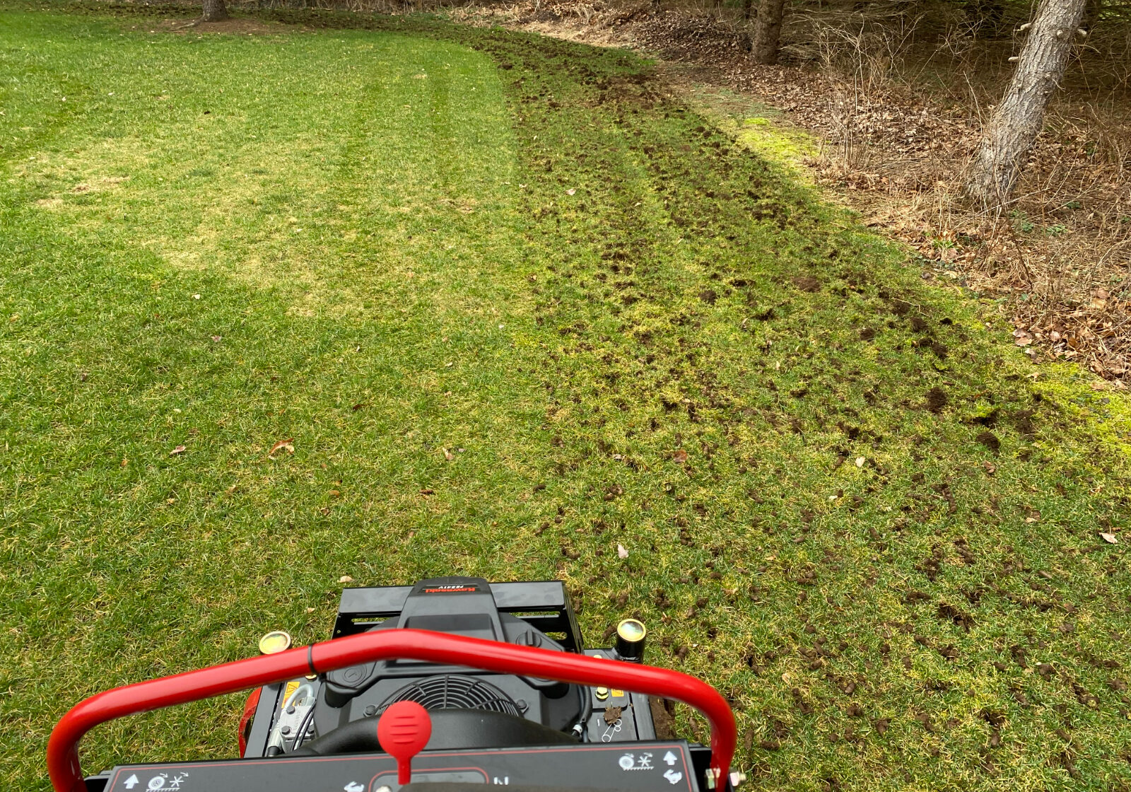Core Aeration (1) Core Aeration (1)