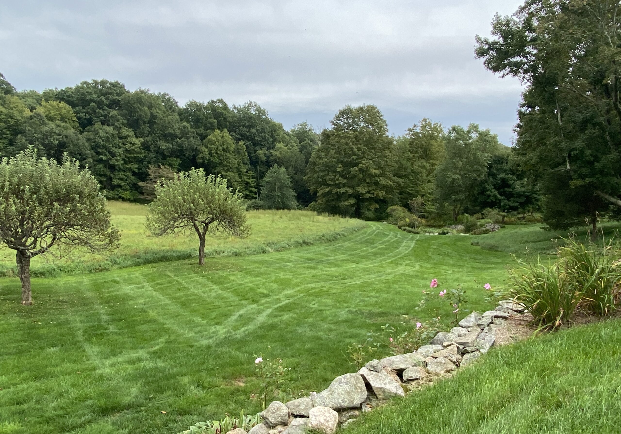 Hybrid Lawn 8 Hybrid Lawn 8