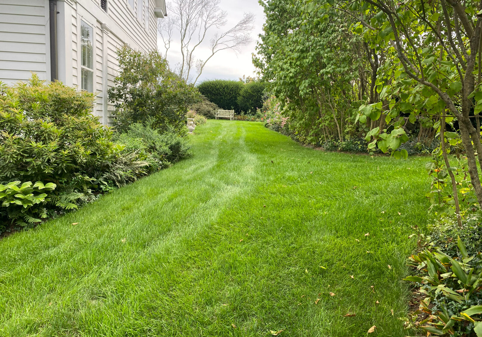 Organic Lawn 7 (1) Organic Lawn 7 (1)