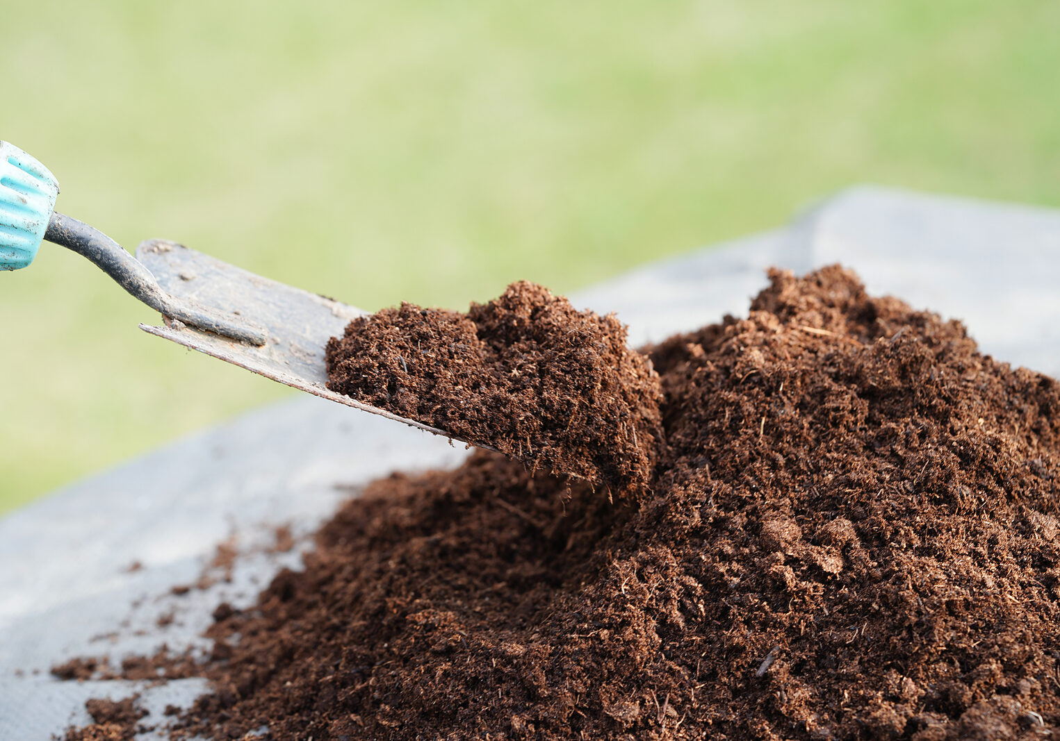Peat Moss, Fertilizer Soil For Organic Agriculture, Plant Growin Peat moss, fertilizer soil for organic agriculture, plant growing, ecology concept.