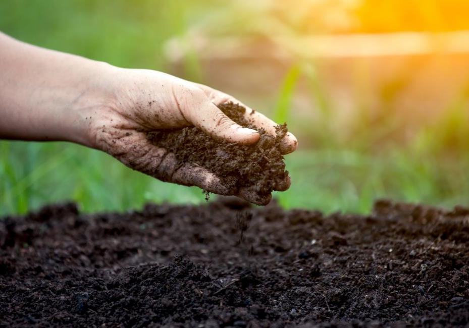 soil amendment photo soil amendment photo