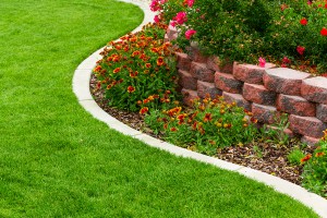 Backyard garden with flowers and green lawn.