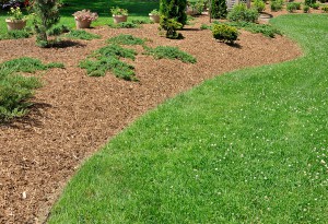 herbaceous border with wood chip mulch and plants