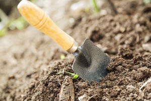 Soil with small shovel in summer day