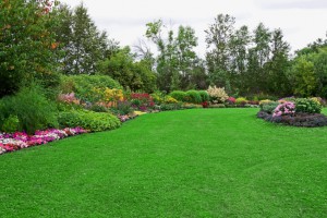 Green Lawn in Landscaped Formal Garden